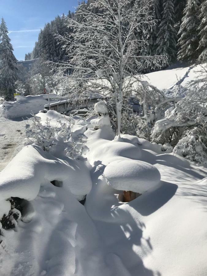 Alpindesign كاونرتال المظهر الخارجي الصورة